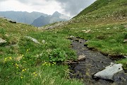 72 Passo il ruscelletto